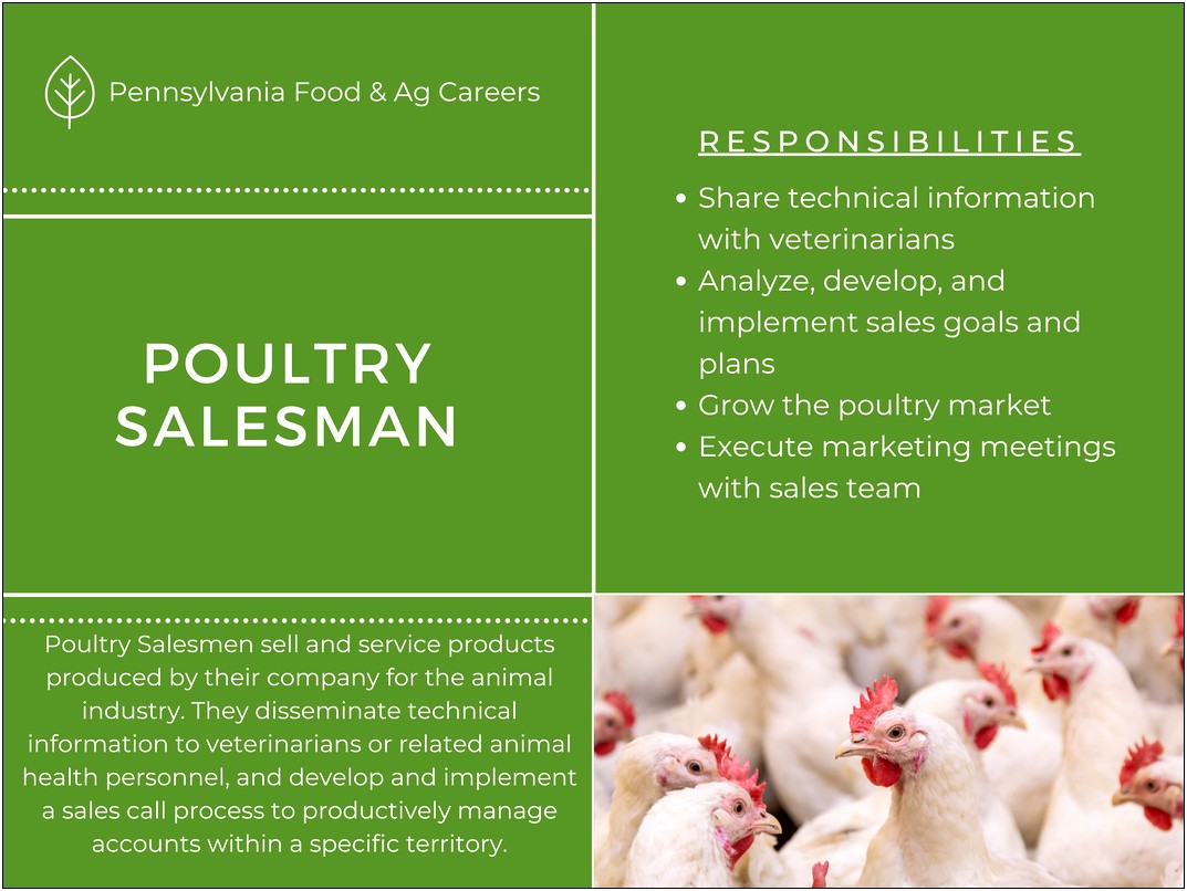 Resume Format For Poultry Farm Manager