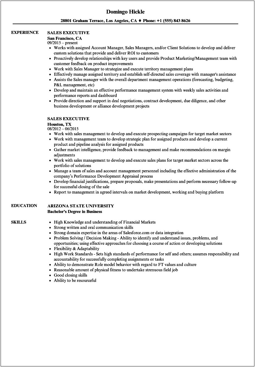 Resume Format For Sales Manager In India