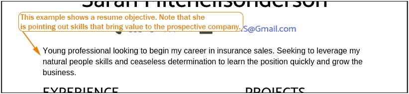 Resume Objective Examples For Insurance Agent