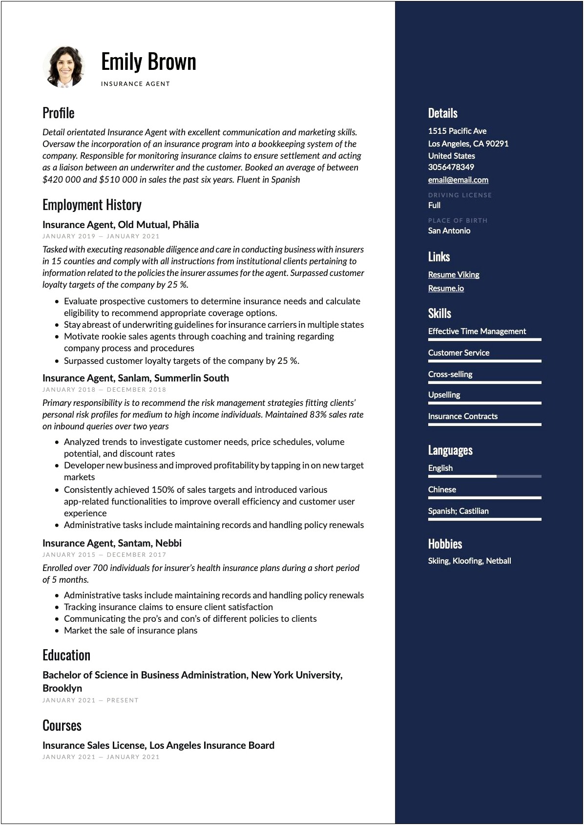 Resume Objective Examples For Insurance Underwriter
