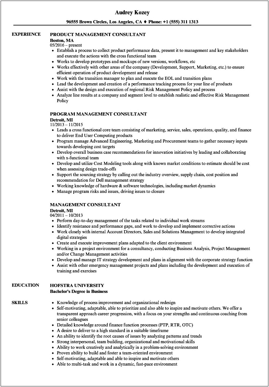 Resume Objective For A Managment Consultant