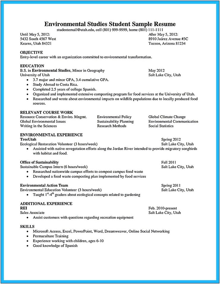 Resume Objective For Applying Any Position