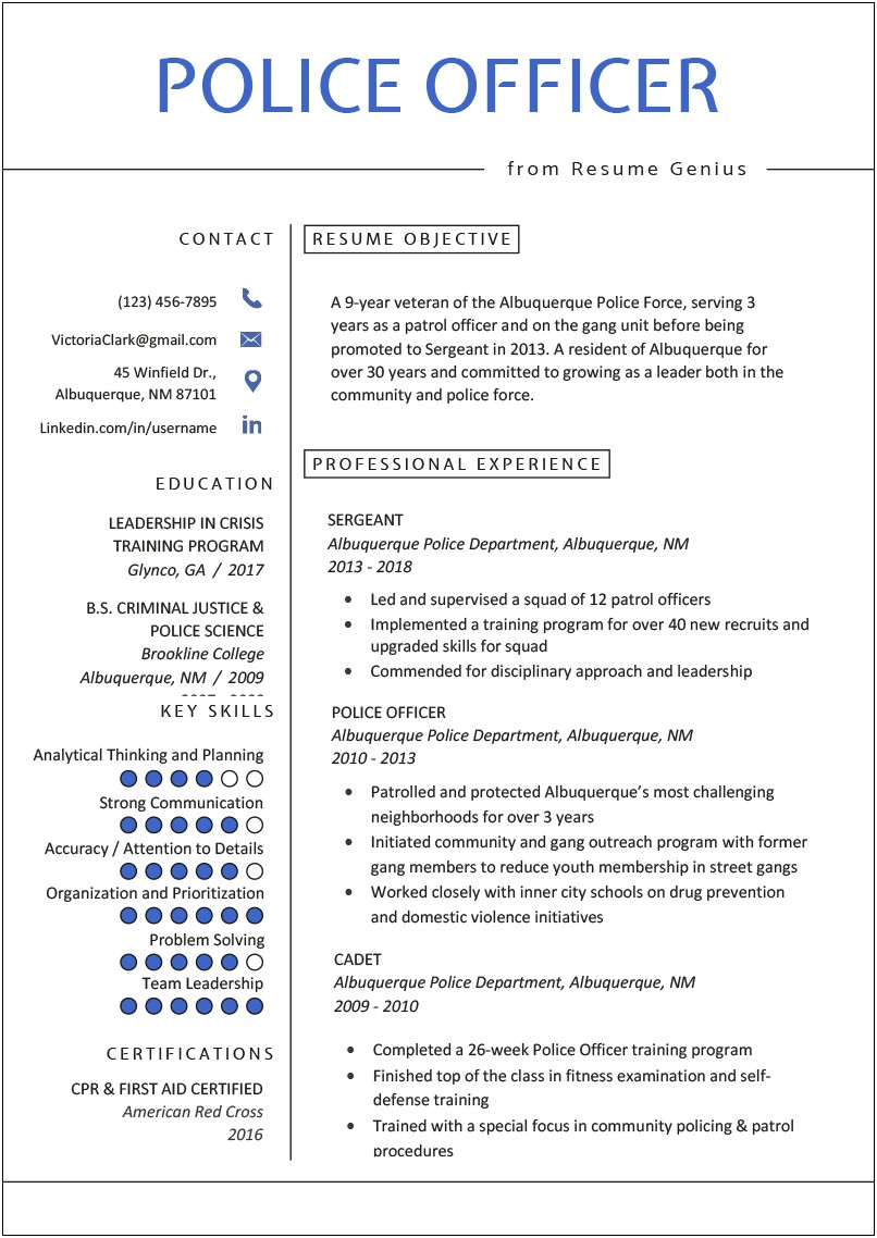 Resume Professional Summary For Police Officer