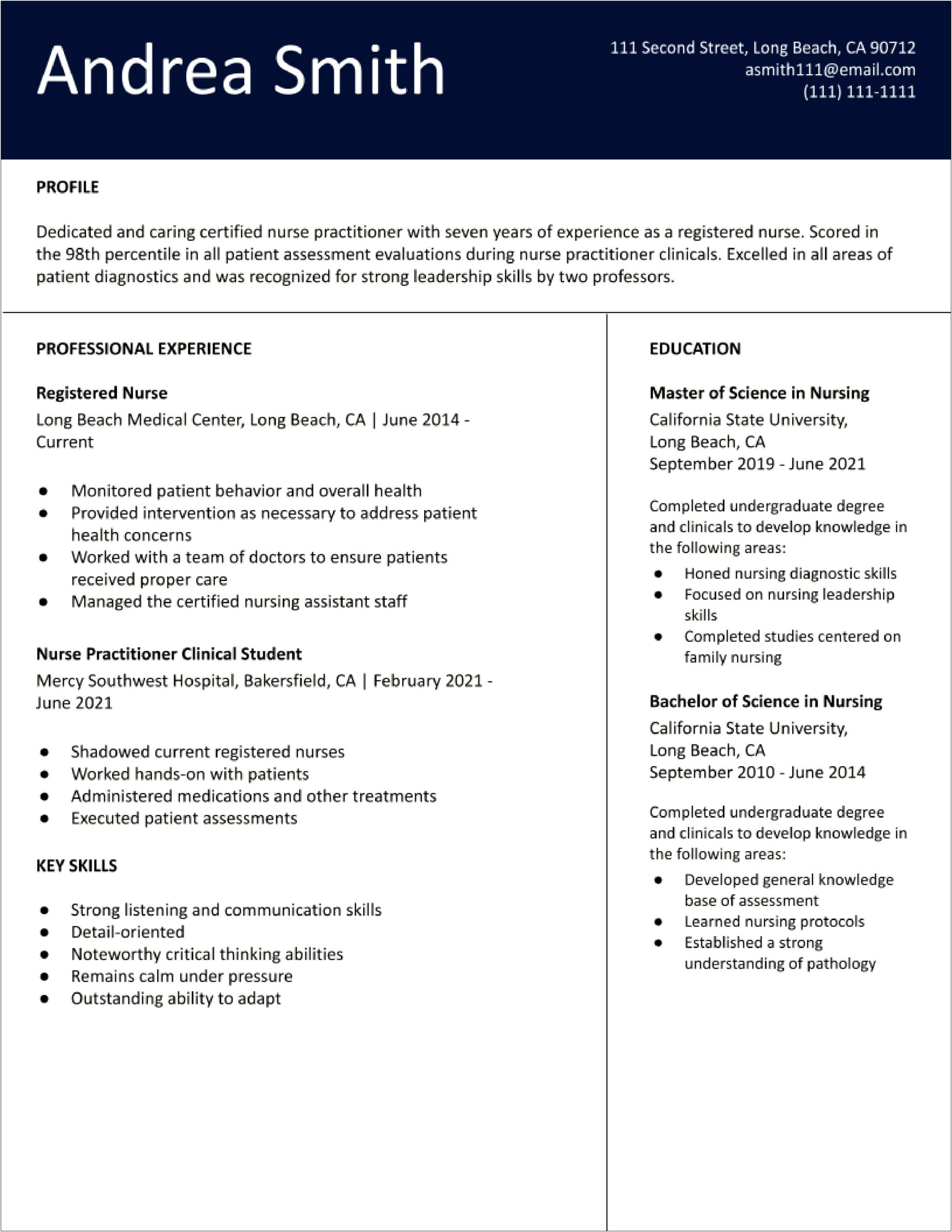 Resume Profile Summary Of Family Nurse Practitioner