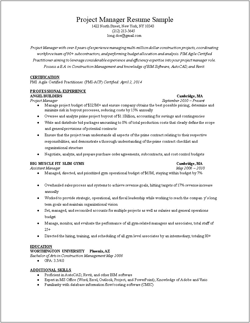 Resume Sample Applying To Big 4