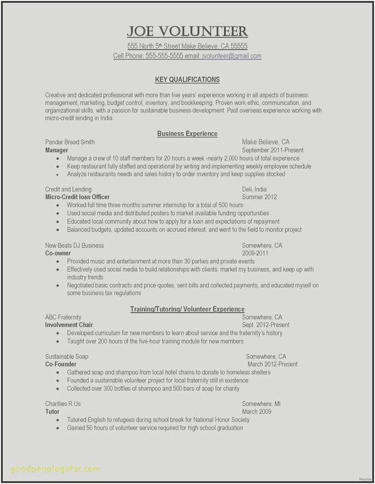 Resume Samples For Business Development Manager India