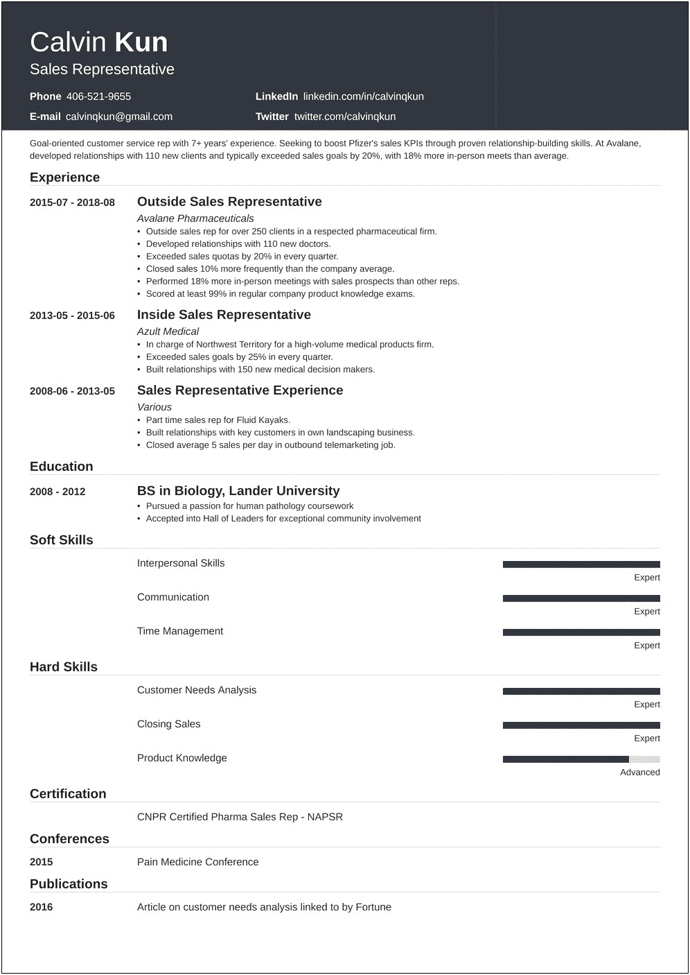 Resume Samples For Experienced Professionals In Sales