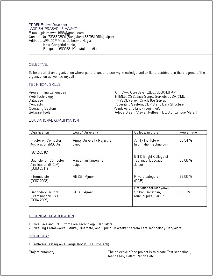 Resume Summary Examples Entry Level Computer Science