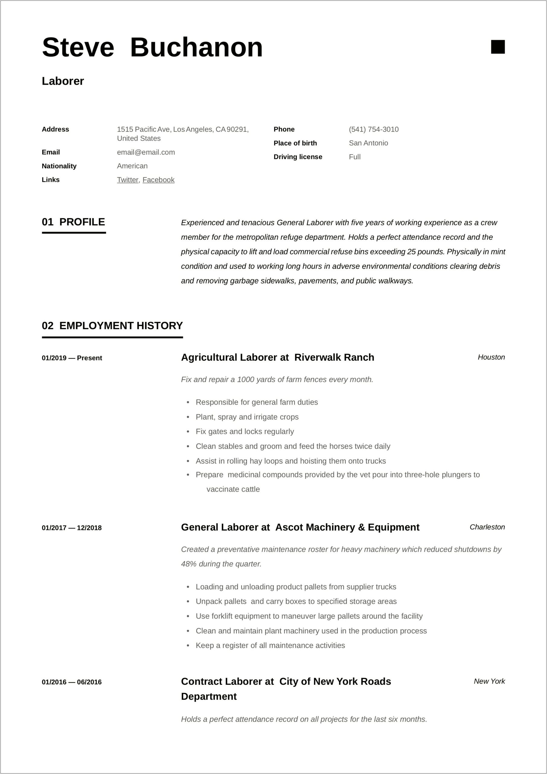 Resume Summary Examples For General Labor