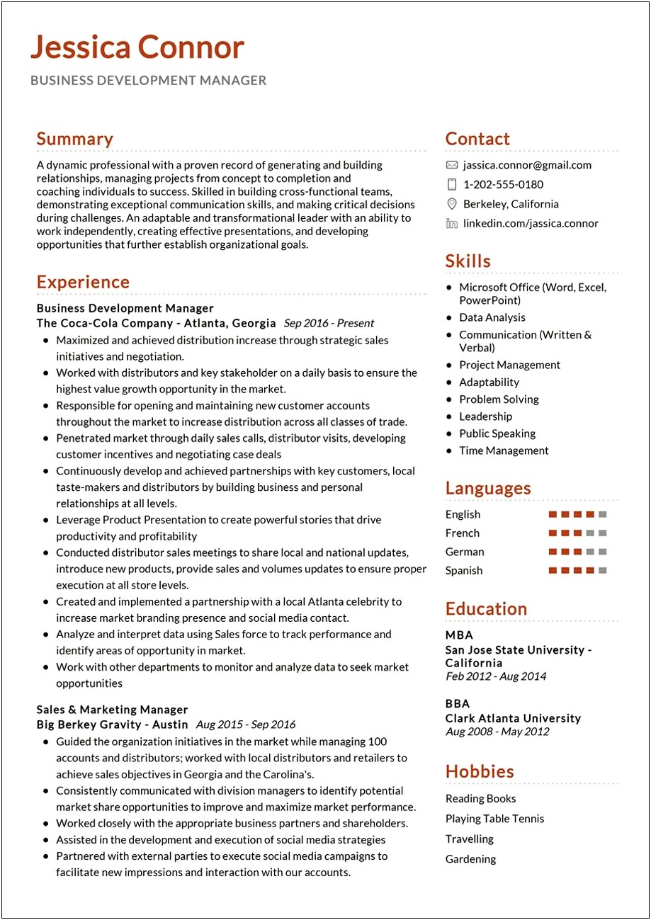 Resume Summary For Business Development Manager