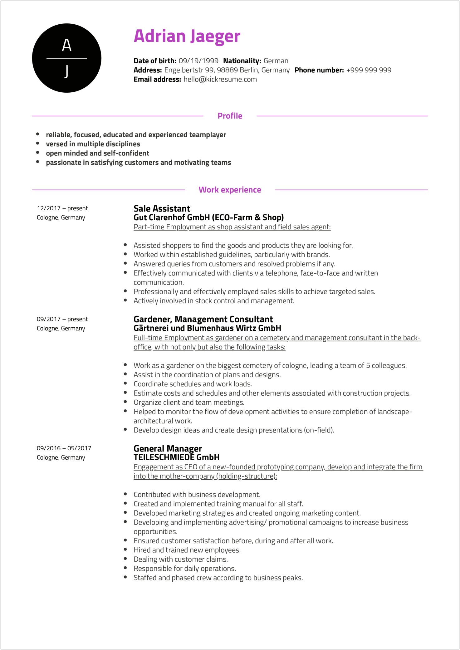 Resume Summary For Tecnical Support Professional