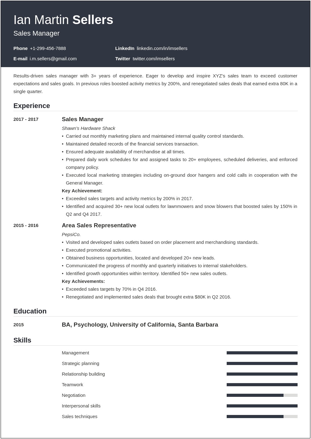 Resume Summary Samples For A Sales Manager