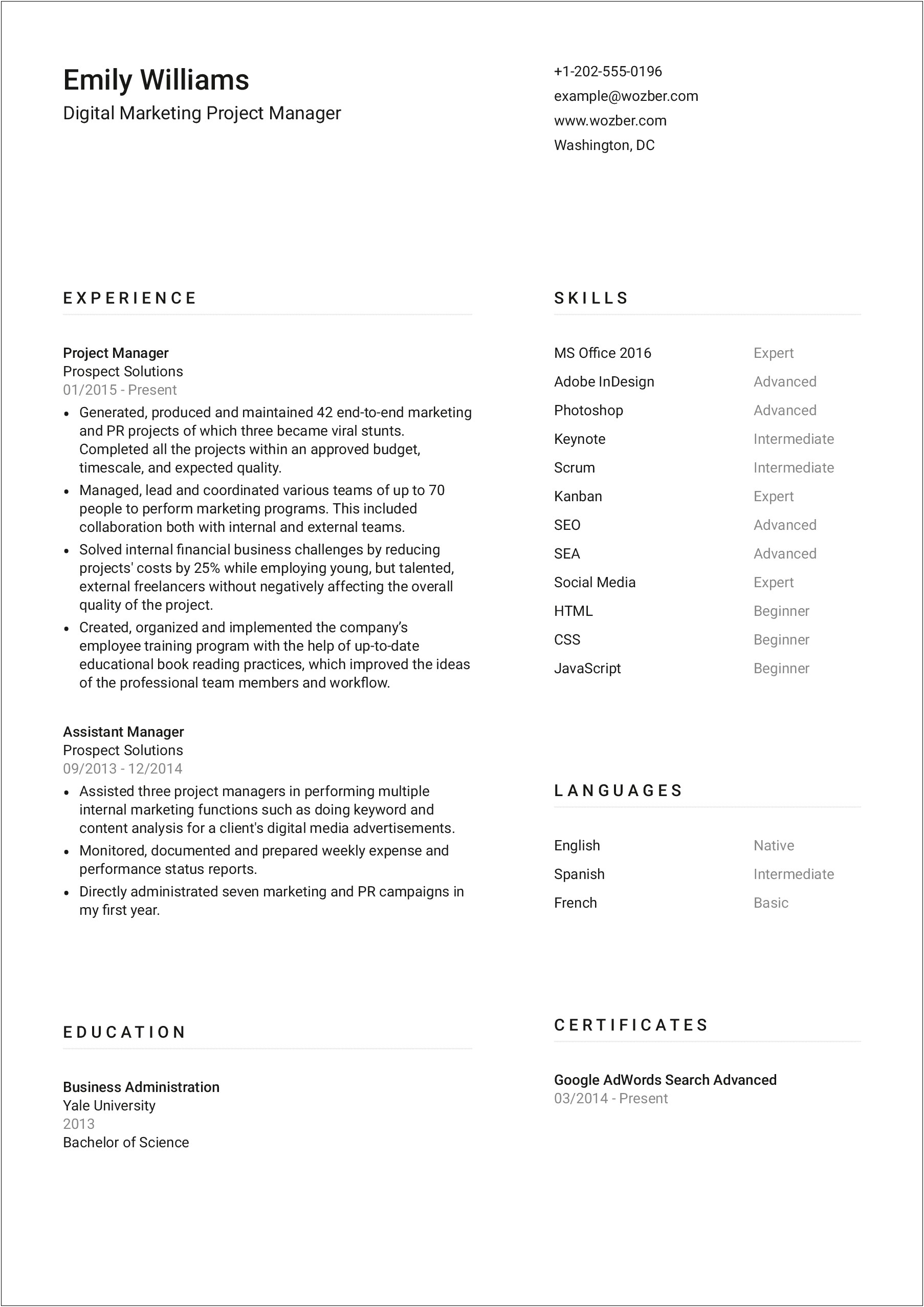 Resume Summary Template Of It Professional