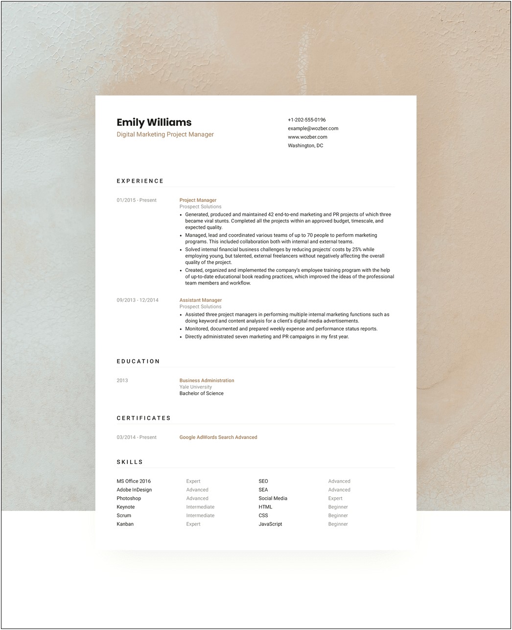Resume Template For College Applications Free