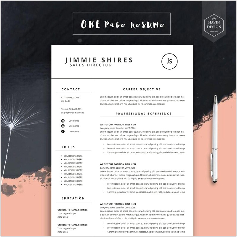 Resume Template For Us Free Download Microsoft Word
