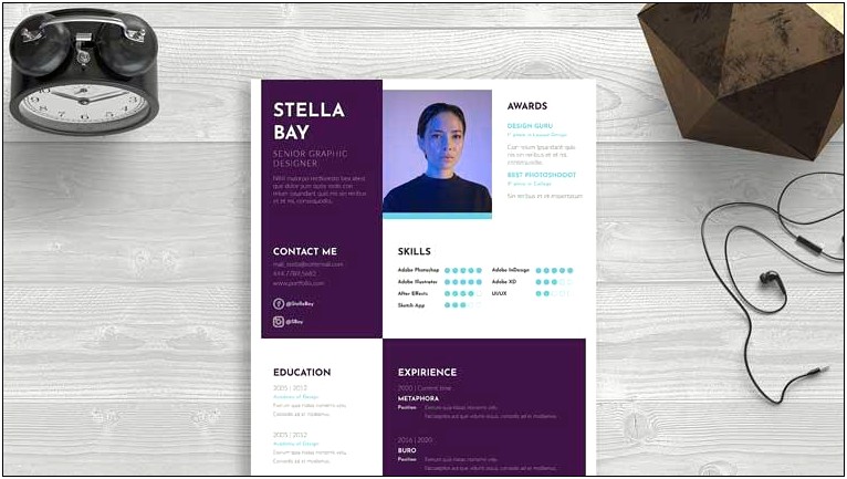 Resume Template With A Failed Startup