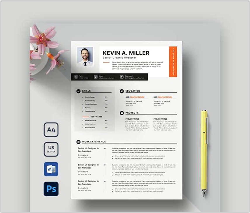 Resume Templates With Work Experience And Project Work