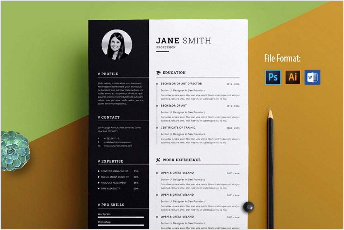 Resume Templates Word 2013 Free Download