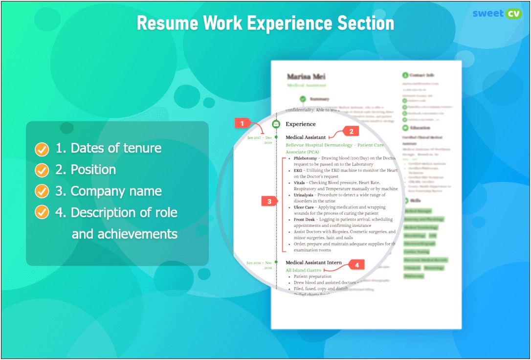 Resume Two Sections Of Professional Experience