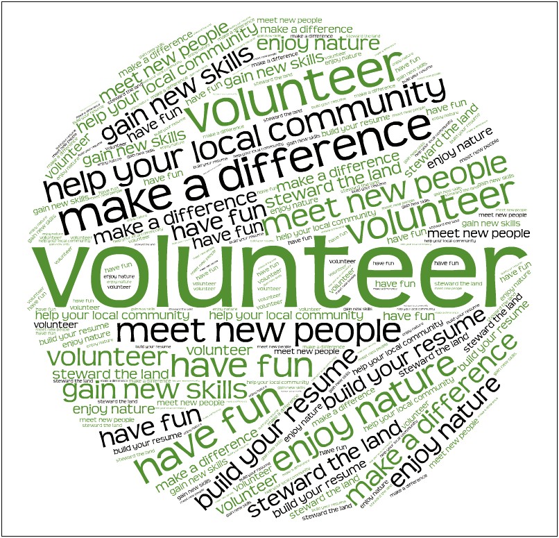 Resume Words For Volunteer With Kids