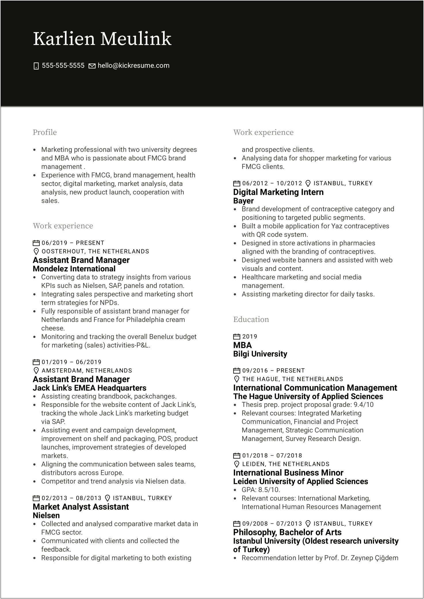 Sales And Marketing Director Template Resume
