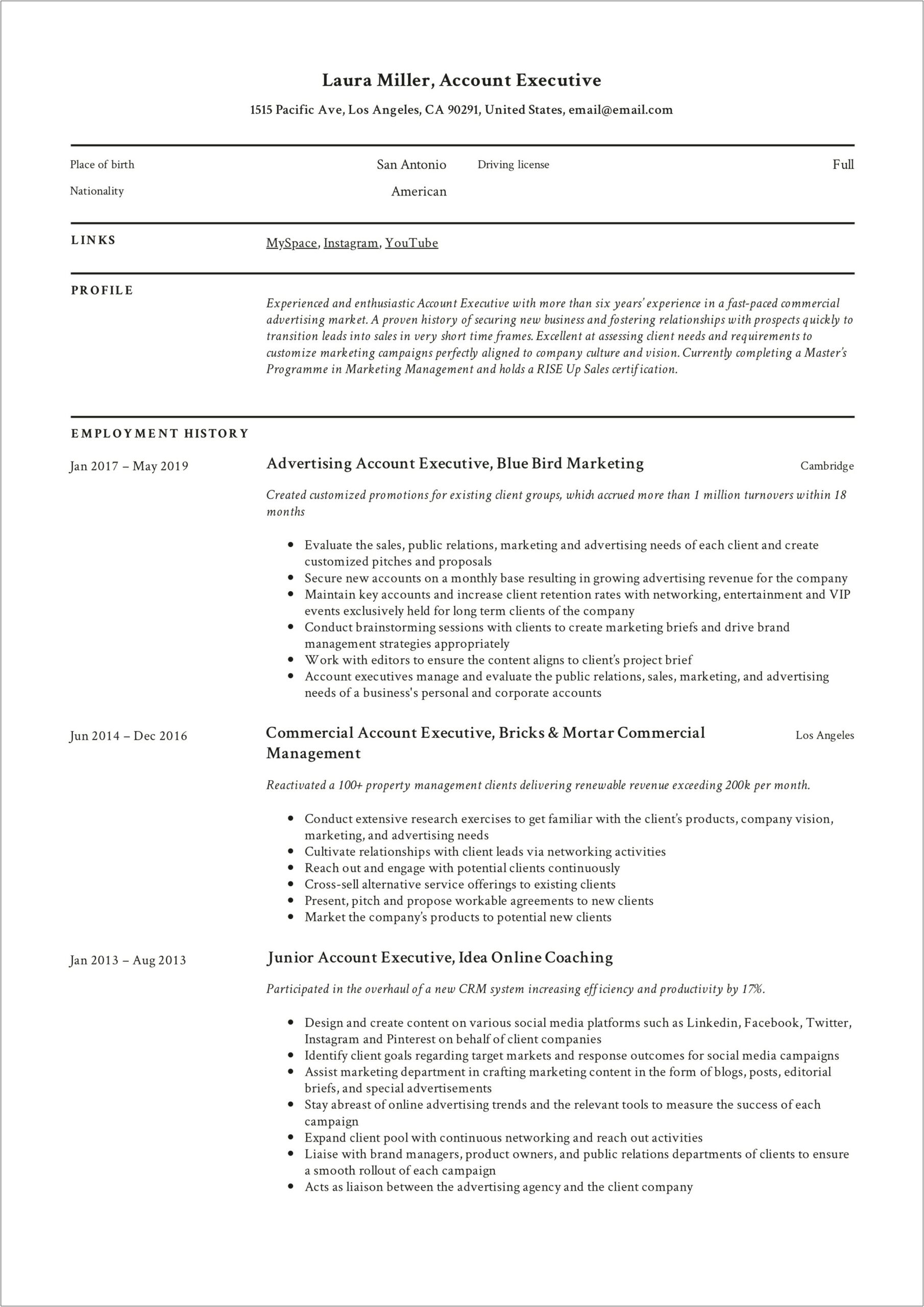 Sales Executive Job Description For Resume Pdf