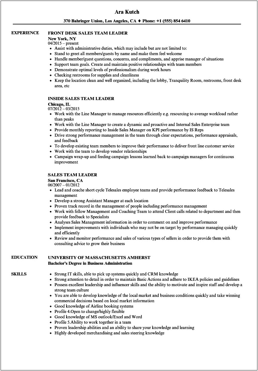 Sales Team Lead Job Description Resume