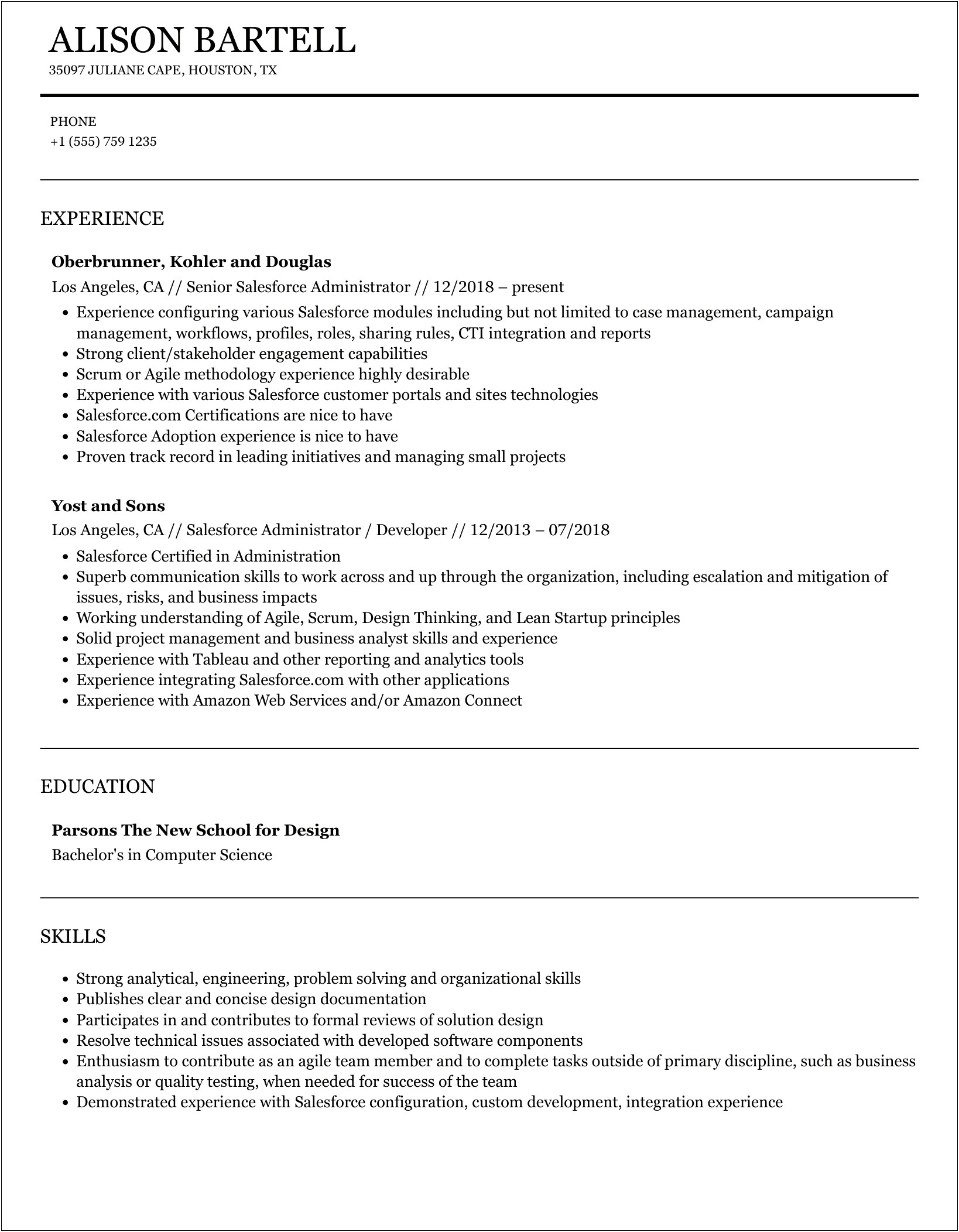 Salesforce Admin In College Experience Resume