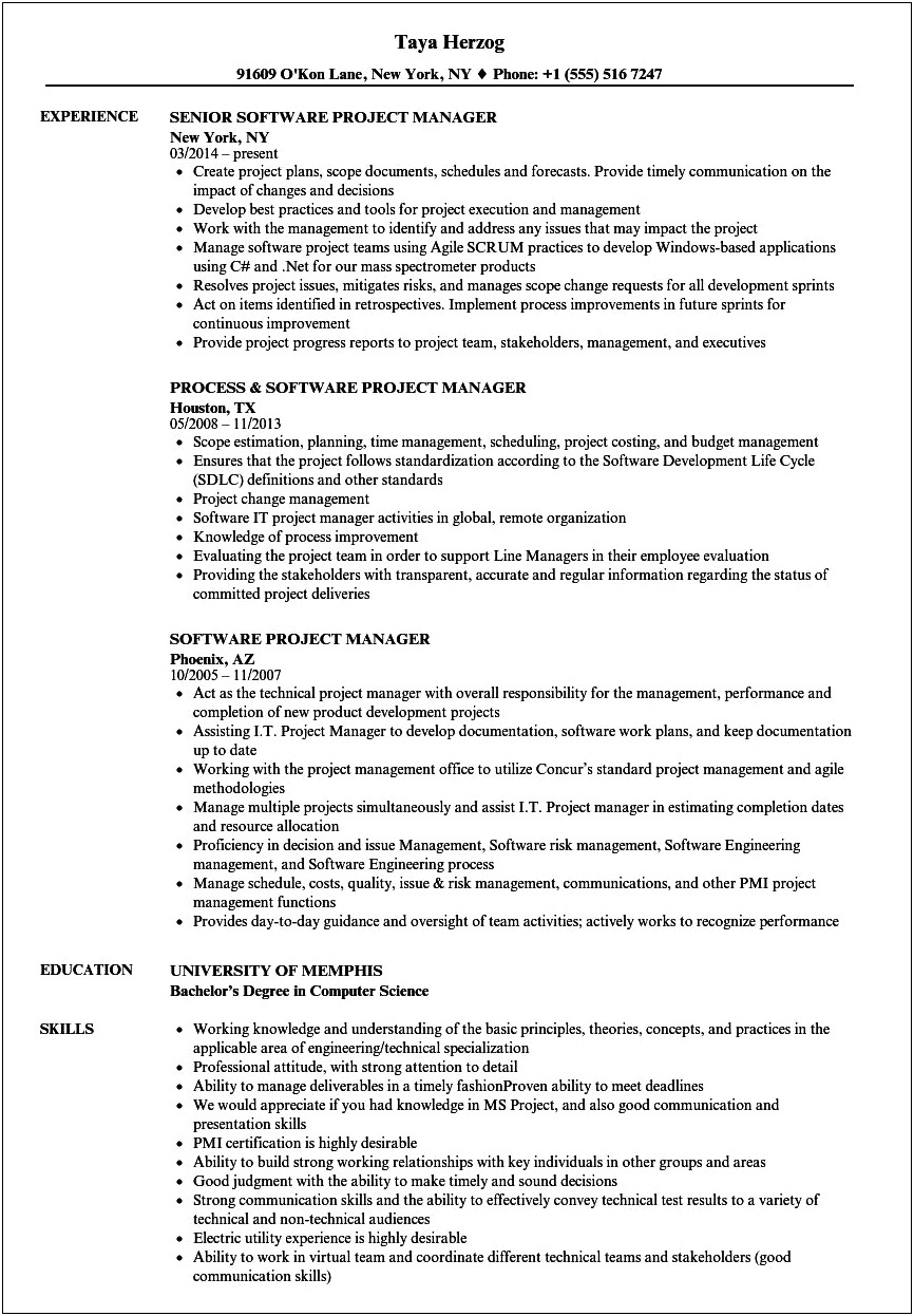 Sample Application Development Project Manager Resume