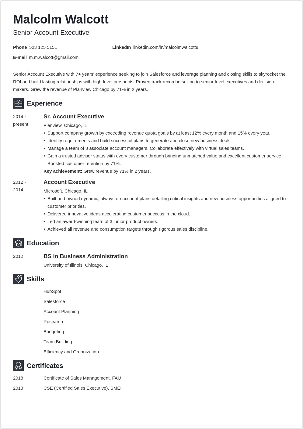 Sample Business Development Account Executive Resume