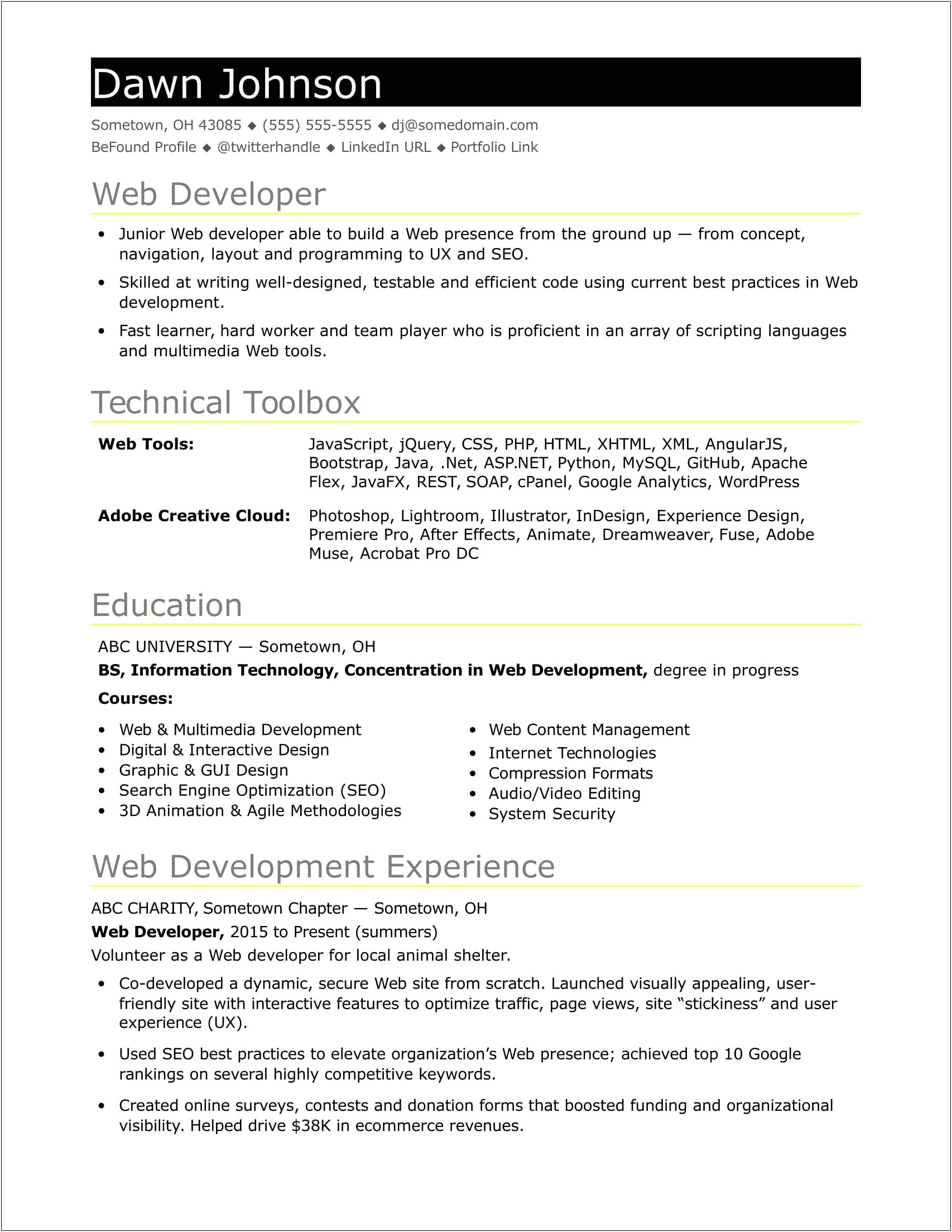 Sample Experience Resume For Developer