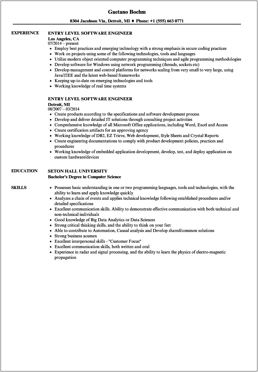 Sample For Resume Summary Entry Level Programmer