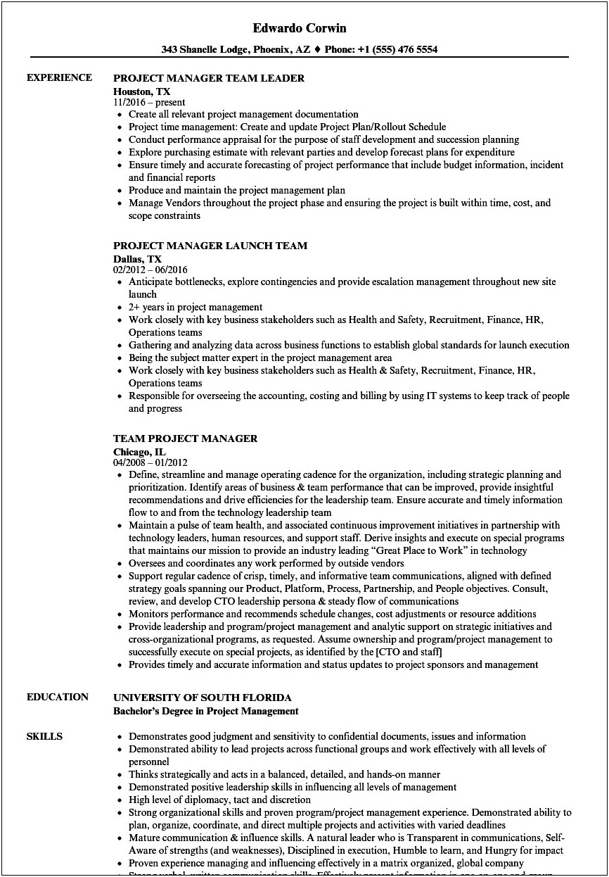 Sample Group Project Info In Resume