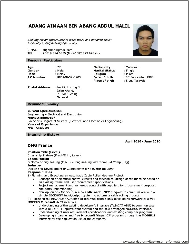 Sample Of A Professional Resume Layout