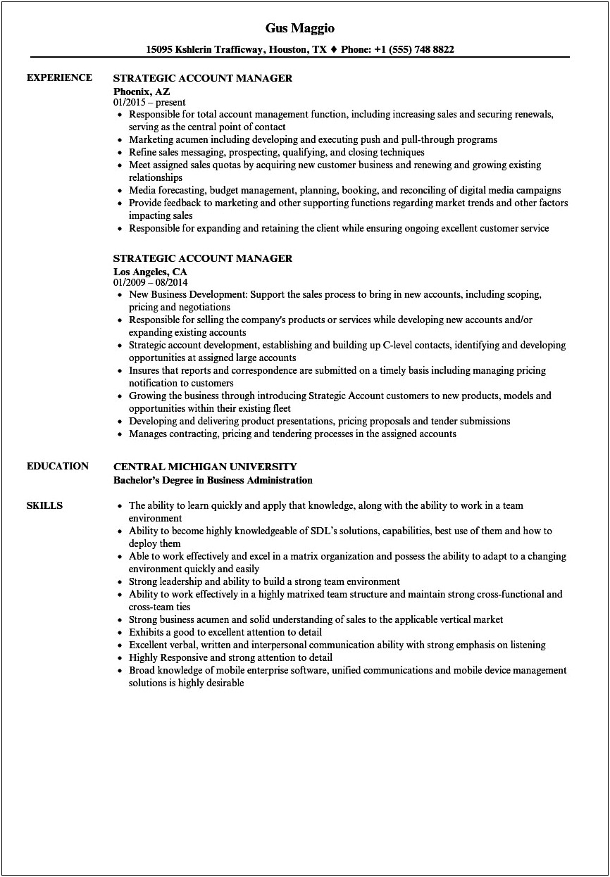Sample Of Resume For Account Manager