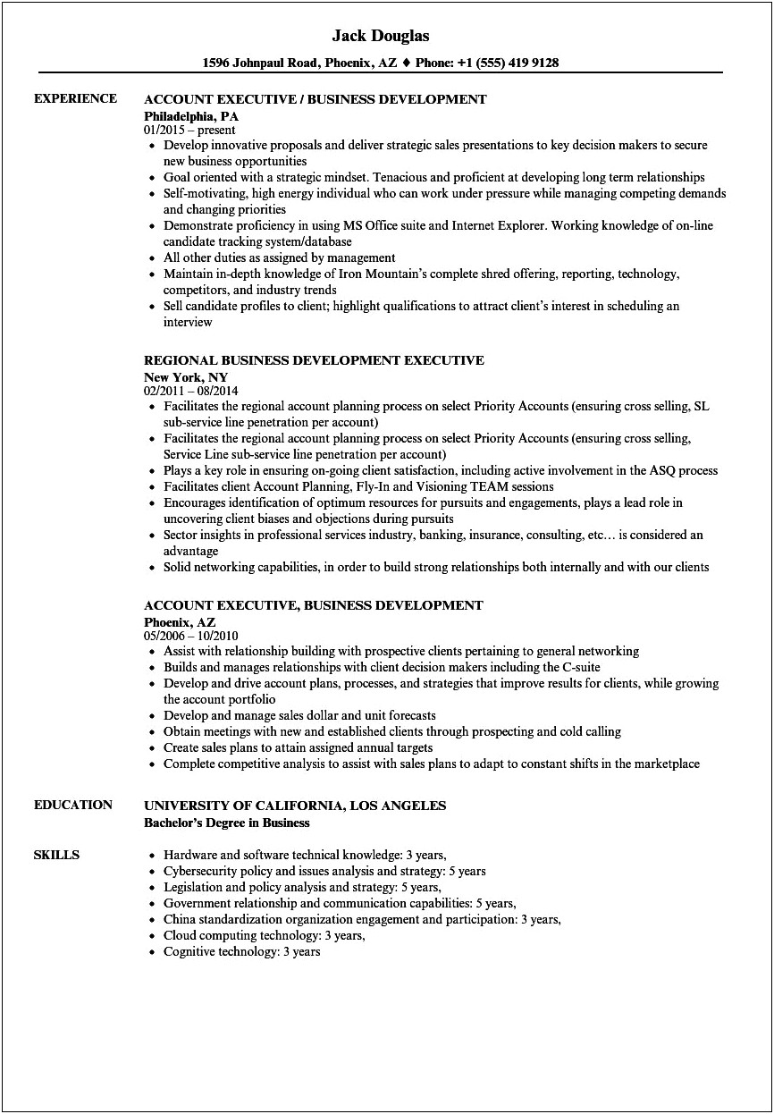 Sample Of Resumes For Vp Business Developments