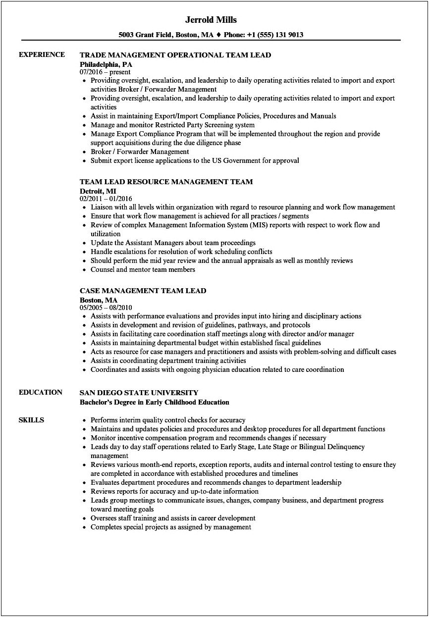 Sample Professional Services Team Lead Resumes
