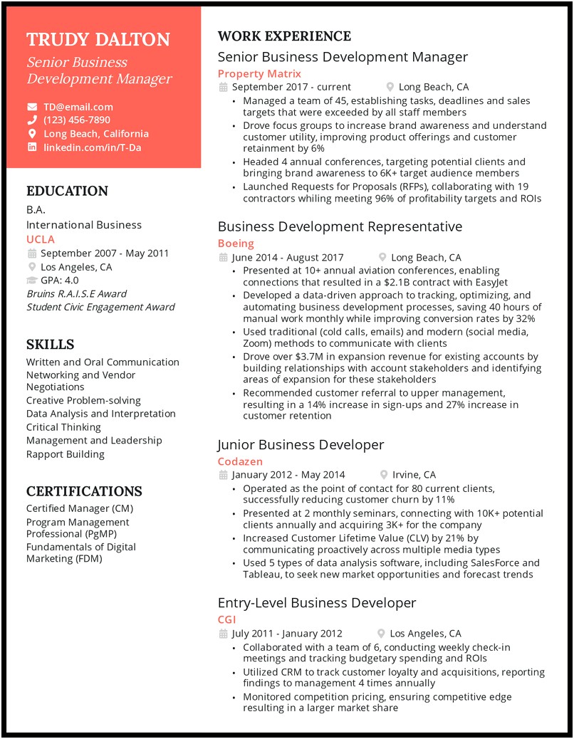Sample Resume Business Development Report Template