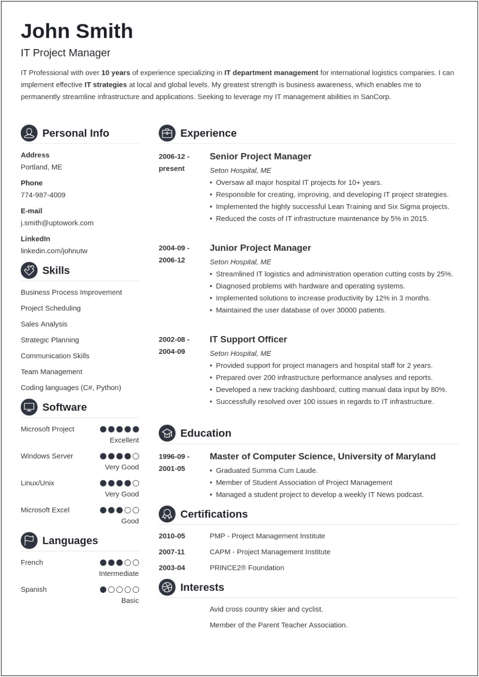 Sample Resume For A It Professional