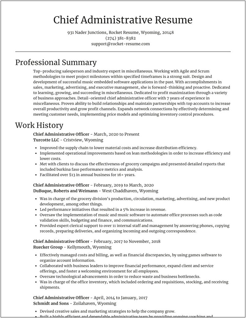 Sample Resume For Chief Administrative Officer