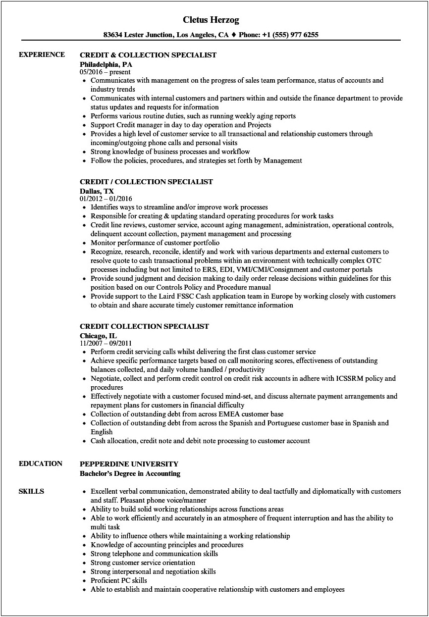 Sample Resume For Debt Collection Agent