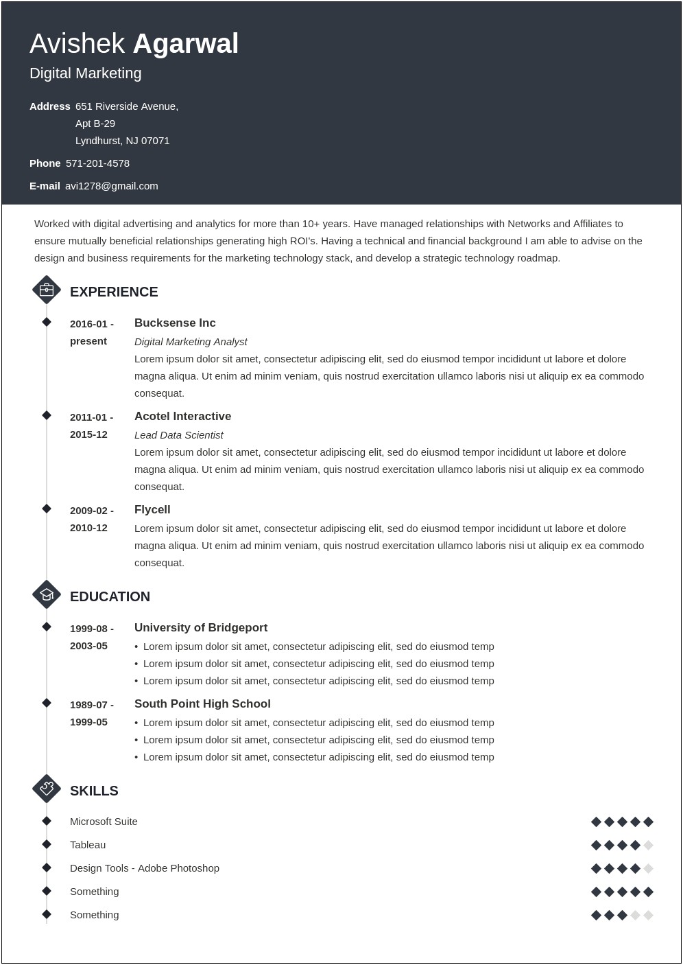 Sample Resume For Digital Marketing Executive