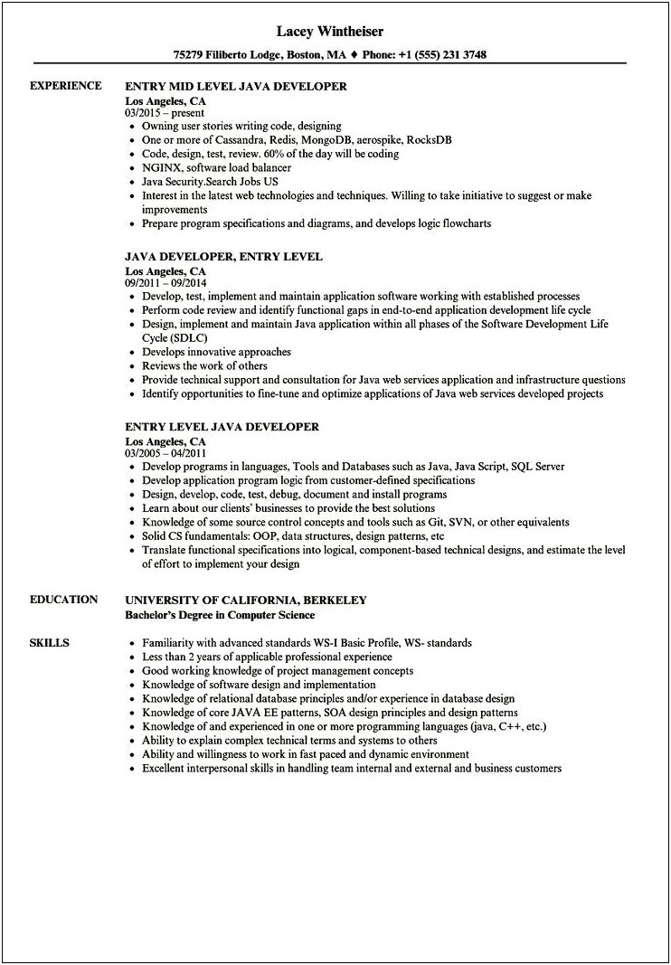 Sample Resume For Experienced Java Developer Usa
