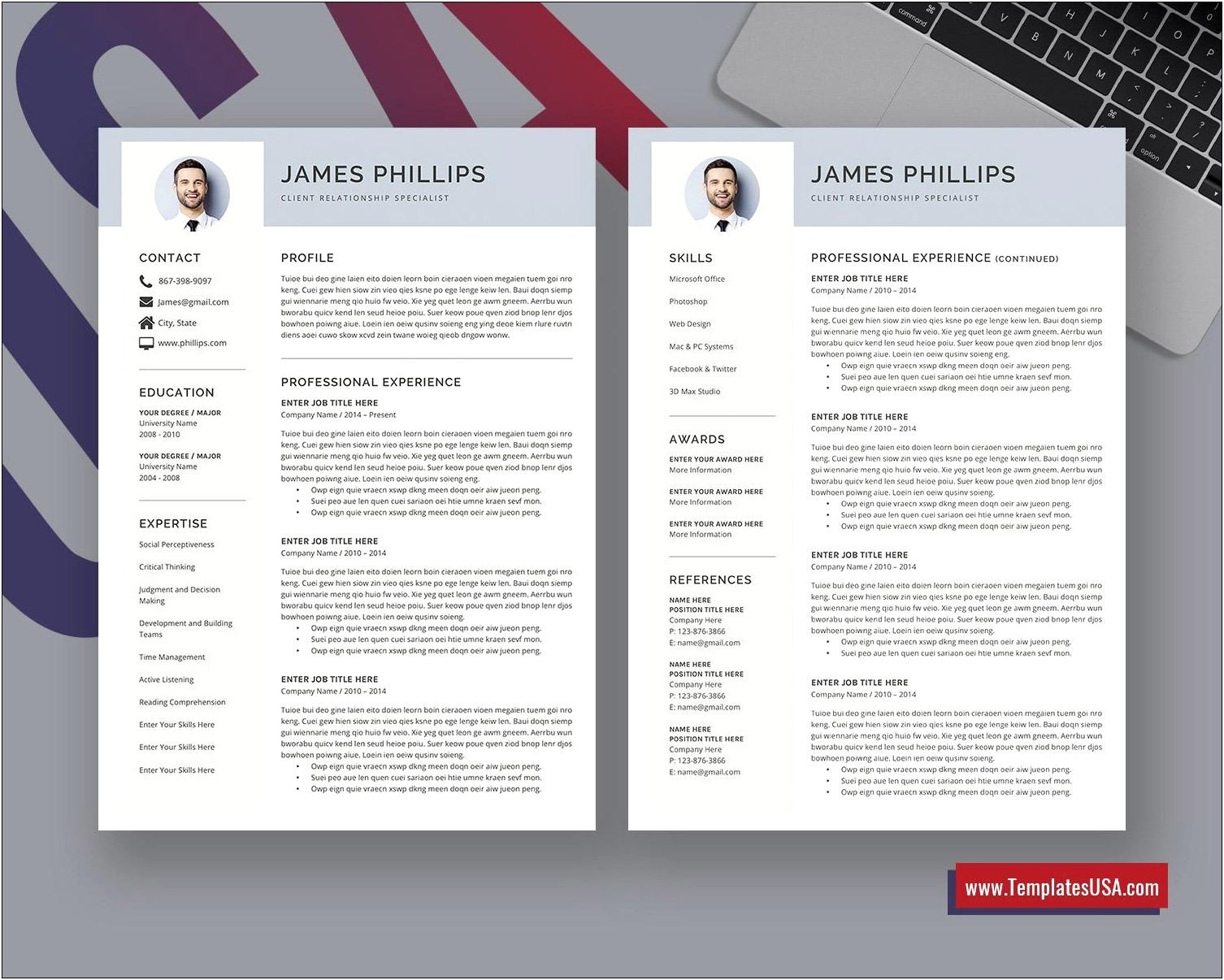 Sample Resume For It Professionals In Usa Format