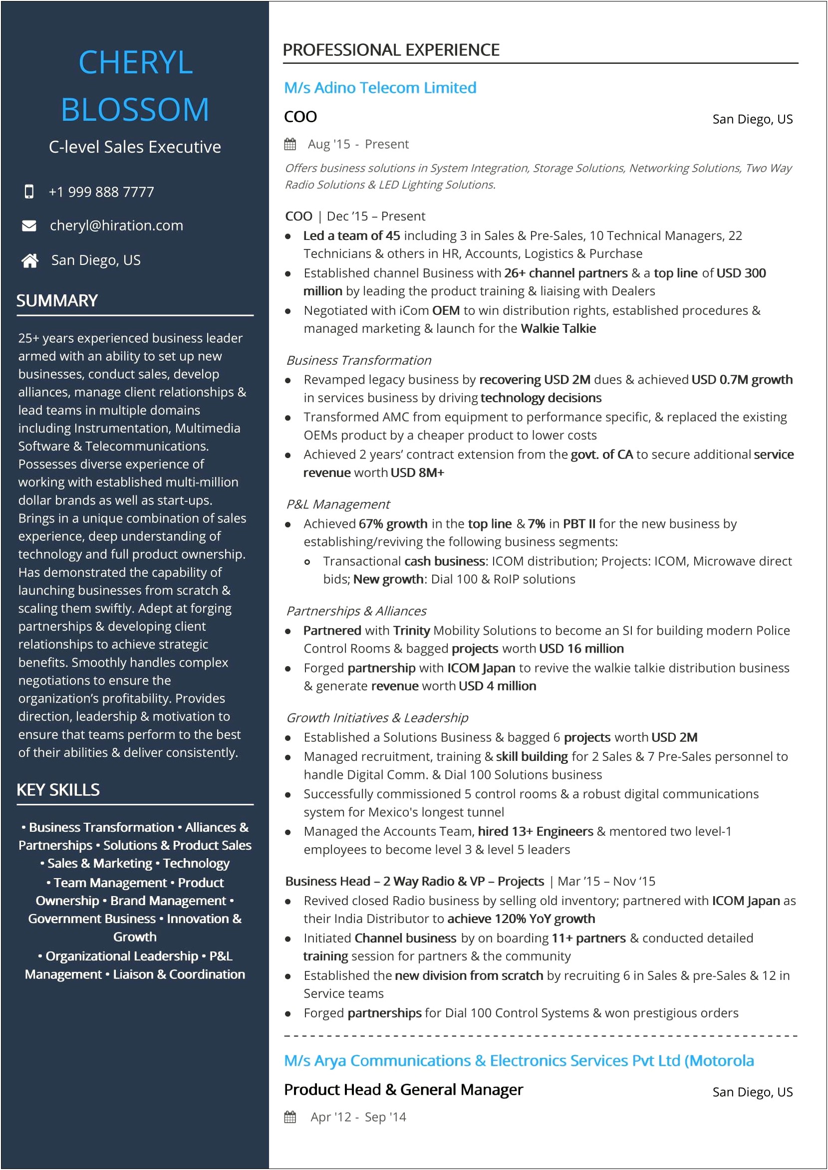 Sample Resume For It Sales Executive