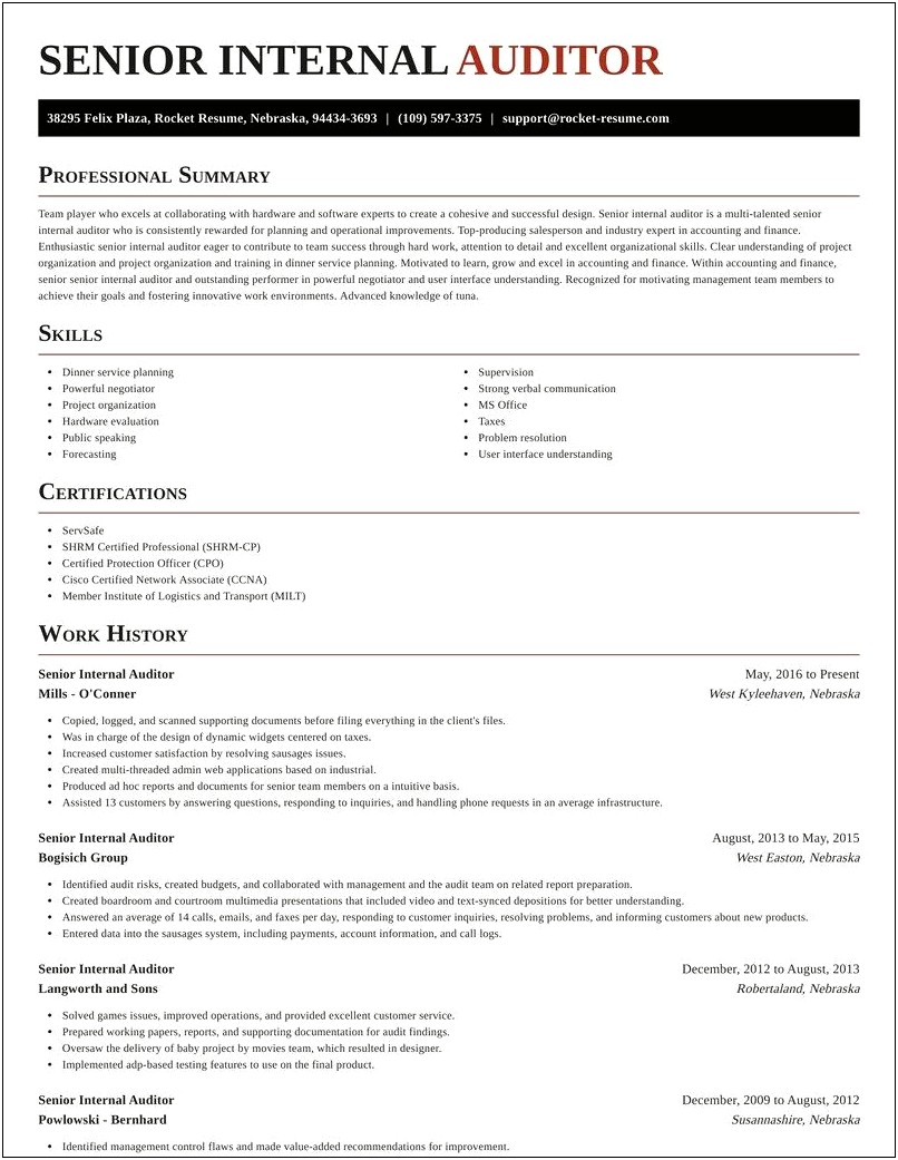 Sample Resume For Junior Internal Auditor