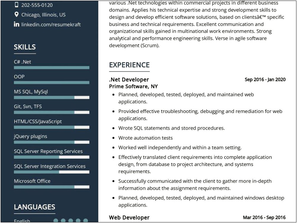 Sample Resume For Net Developer Using Entity Framework