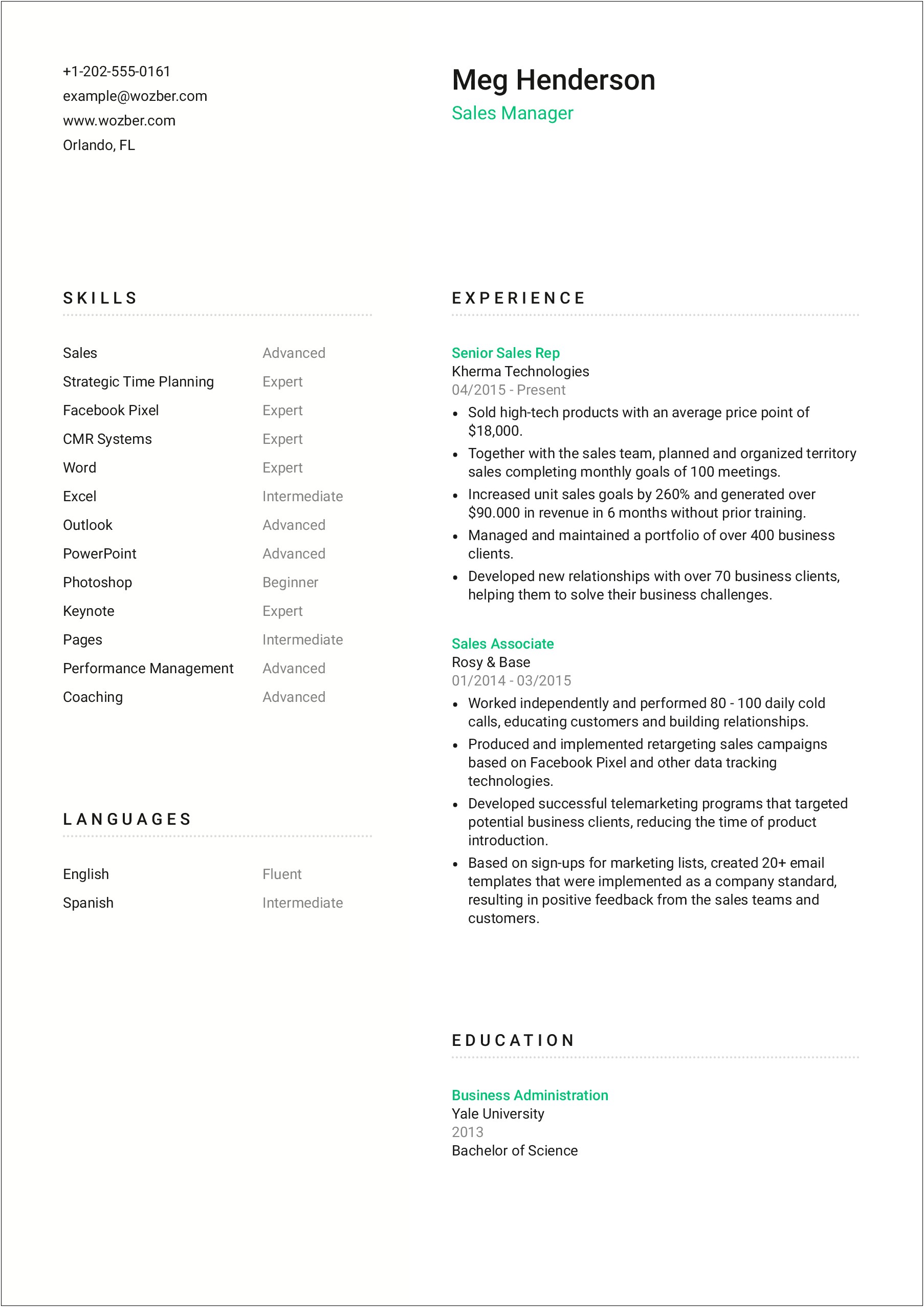 Sample Resume Format For Experienced Sales Manager