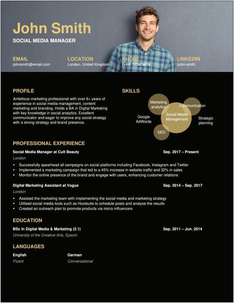Sample Resume Of Digital Marketing Manager