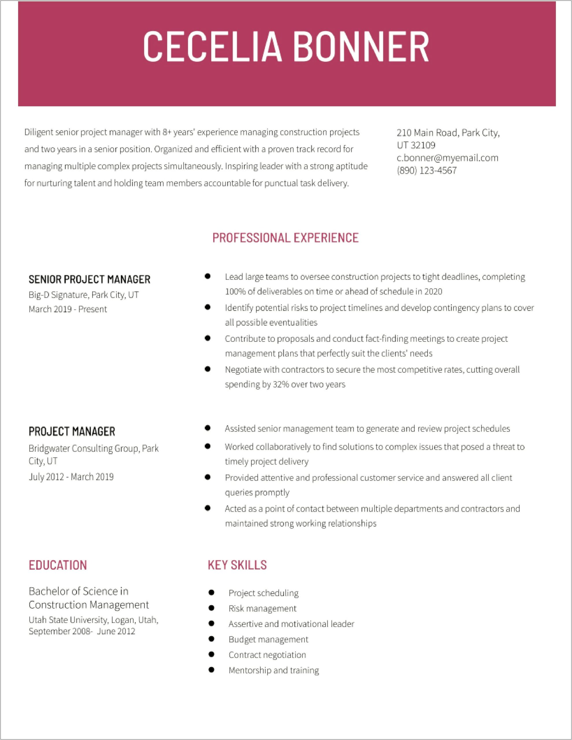 Sample Resume Senior Project Manager Construction